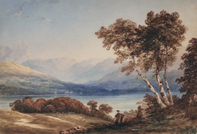 Vista d