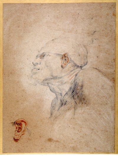 Miehen pää sidottu, vasen korva erikseen harjoiteltu (musta ja punainen liitu paperilla) tekijältä Anthony van Dyck