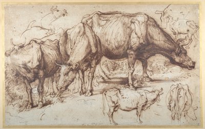 Nauta laitumella, n. 1618-20 (kynä ja muste pesulla paperille) tekijältä Anthony van Dyck