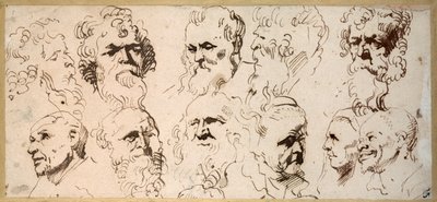 Yksitoista päätutkimusta (kynä ja ruskea muste paperille) tekijältä Anthony van Dyck