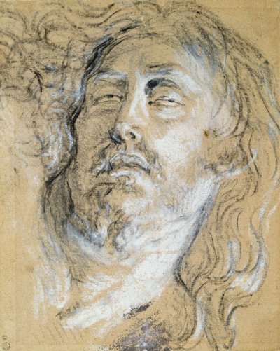 Kuolleen Kristuksen pää (hiili ja liitu paperille) tekijältä Anthony van Dyck