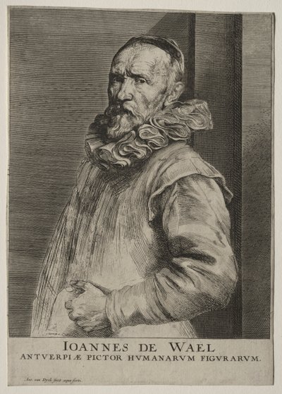 John de Wild Neversin muotokuva tekijältä Anthony van Dyck