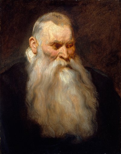Valkopartaisen vanhan miehen tutkimuspäällikkö, n. 1617-20. tekijältä Anthony van Dyck