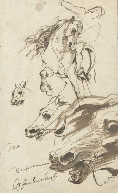 Tutkimus ratsastajasta ja hevosen päästä, 1620-1 (kynä ja wc paperilla) tekijältä Anthony van Dyck