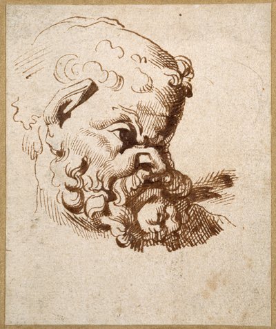 Silenuksen antiikkipään tutkimus (kynä ja muste paperille) tekijältä Anthony van Dyck