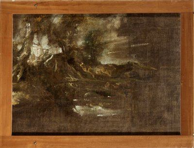Metsäinen maisema tekijältä Anthony van Dyck
