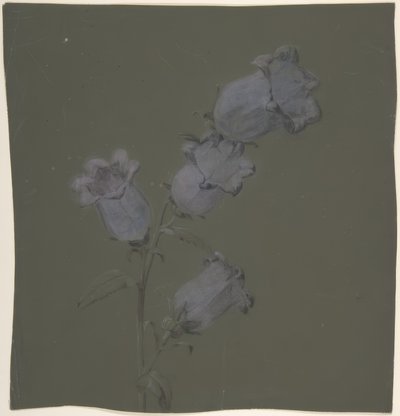 Canterbury Bells -suihku tekijältä Antoine Berjon