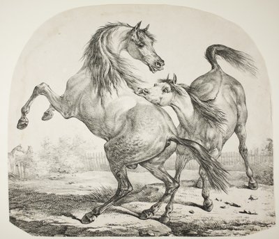 Villihevosten taistelu, n. 1820 tekijältä Antoine Charles Horace Vernet