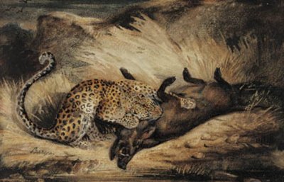 Leopardi syö villisian. tekijältä Antoine Louis Barye