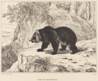 Mississippi-karhu tekijältä Antoine Louis Barye