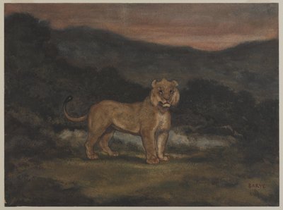 Pysyvä lioness (wc paperilla) tekijältä Antoine Louis Barye