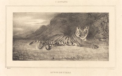 Tiikerin tutkimus. tekijältä Antoine Louis Barye