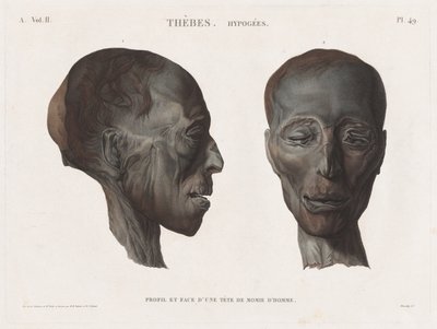 Egyptin kuvaus: Thebes. Hypogees Vol. II, Pl. 49 tekijältä Antoine Maxime Monsaldy