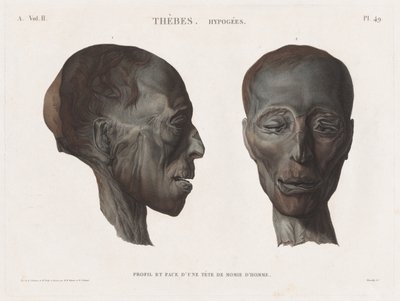 Egyptin kuvaus: Thebes. Hypogees Voi. II, Pl. 49. tekijältä Antoine Maxime Monsaldy