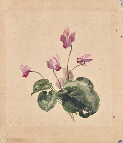 Cyclamen tekijältä Anton Hartinger