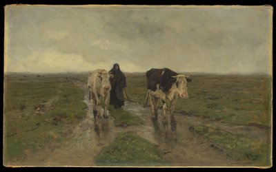Laidunpaikan vaihtaminen tekijältä Anton Mauve