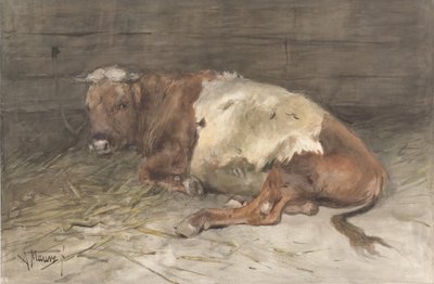 Valehteleva nuori härkä tekijältä Anton Mauve