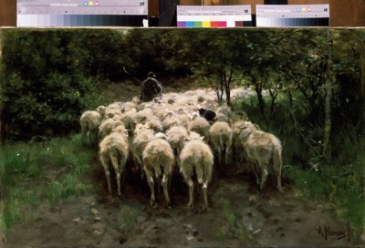 Lampaat metsässä. Lampaat metsässä. Paimen nautalaumalla takaa katsottuna. Anton Mauven (1838-1888) maalaus. Öljy kankaalle. hollantilainen maalaus. Pushkinin taidemuseo, Moskova tekijältä Anton Mauve