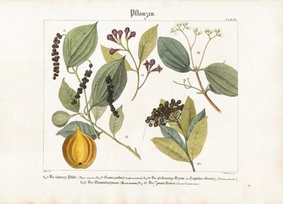 Taloudellisesti tärkeät maustekasvit tekijältä Anton Wachsmann