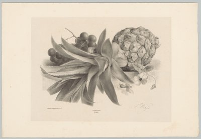 Ananas ja viinirypäleet Flower and Fruit Studies (...) 10. jakso (sarjan nimi) tekijältä Anton Weiss