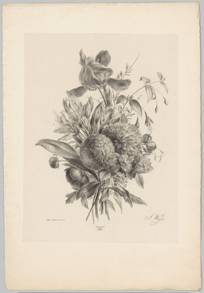 Neilikat ja liljat Flower and Fruit Studies (...) 10. jakso (sarjan nimi) tekijältä Anton Weiss