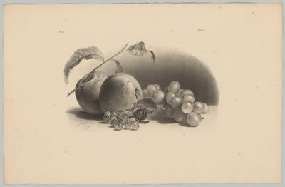 Omenat, marjat, karhunvatukat ja viinirypäleet Flower and Fruit Studies (...) 3. jakso (sarjan nimi) tekijältä Anton Weiss