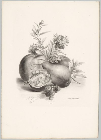 Kukat, omenat, päärynät, granaattiomena ja karhunvatukat Flower and Fruit Studies (...) 10. jakso (sarjan nimi) tekijältä Anton Weiss