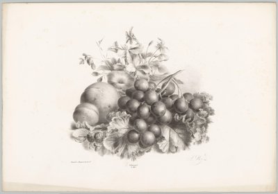 Kukat, persikka, nektariini, viinirypäleet ja karhunvatukat Flower and Fruit Studies (...) 10. jakso (sarjan nimi) tekijältä Anton Weiss