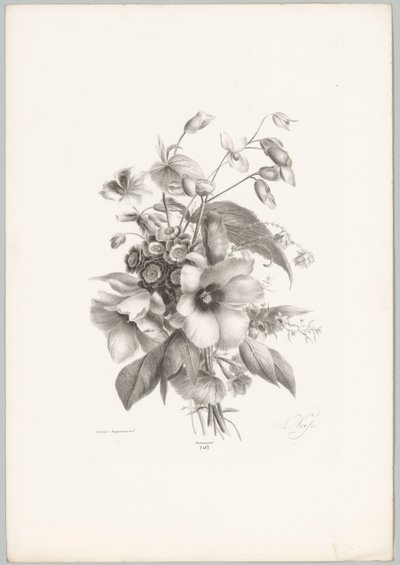Erilaisia ​​kukkia Flower and Fruit Studies (...) 10. jakso (sarjan nimi) tekijältä Anton Weiss