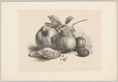 Hedelmät, luumut ja osterit Flower and Fruit Studies (...) 10. jakso (sarjan nimi) tekijältä Anton Weiss