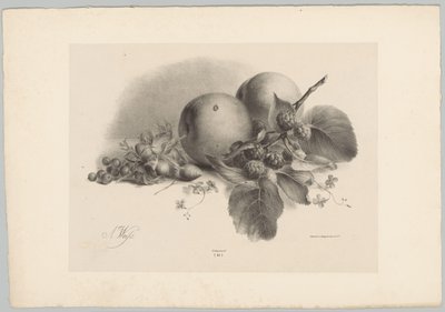 Persikat, marjat, hasselpähkinät ja karhunvatukat Flower and Fruit Studies (...) 10. jakso (sarjan nimi) tekijältä Anton Weiss