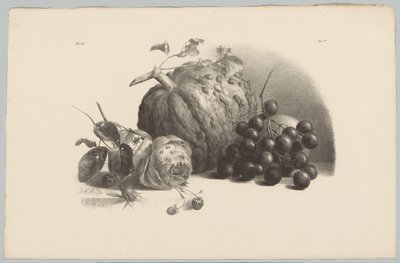 Kurpitsa, viinirypäleet, ruusu ja mansikat Flower and Fruit Studies (...) 3. jakso (sarjan nimi) tekijältä Anton Weiss
