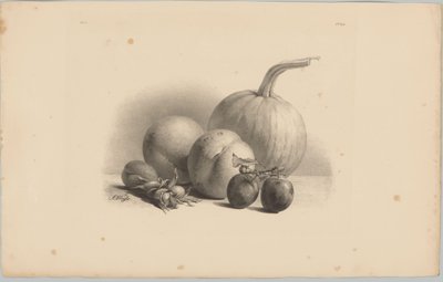 Kurpitsa, persikat, aprikoosi, luumut ja hasselpähkinät Flower and Fruit Studies (...) 3. jakso (sarjan nimi) tekijältä Anton Weiss