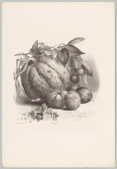 Kurpitsaa, tomaatteja ja kirsikoita Flower and Fruit Studies (...) 10. jakso (sarjan nimi) tekijältä Anton Weiss