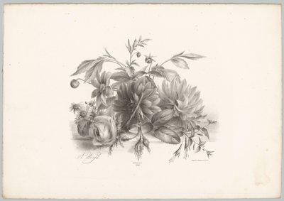 Ruusuja, daaliaa ja fuksiaa Flower and Fruit Studies (...) 10. jakso (sarjan nimi) tekijältä Anton Weiss
