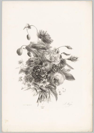 Ruusuja ja muita kukkia Flower and Fruit Studies (...) 10. jakso (sarjan nimi) tekijältä Anton Weiss
