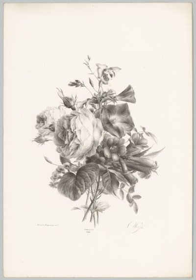 Ruusuja ja maljan muotoisia kukkia Flower and Fruit Studies (...) 10. jakso (sarjan nimi) tekijältä Anton Weiss