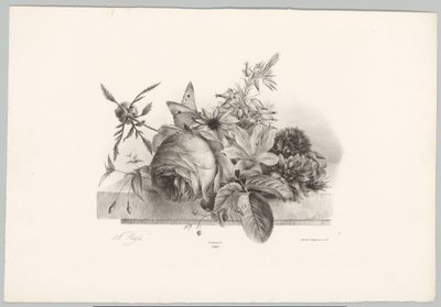 Ruusuja, liljoja, kellon muotoisia kukkia ja perhonen Flower and Fruit Studies (...) 10. jakso (sarjan nimi) tekijältä Anton Weiss