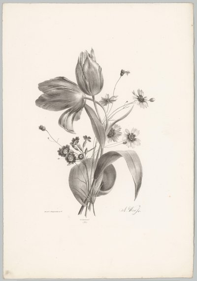 Tulppaanit ja koiranputket Flower and Fruit Studies (...) 10. jakso (sarjan nimi) tekijältä Anton Weiss