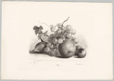 Viikunoita, rypäleitä ja appelsiinia Flower and Fruit Studies (...) 10. jakso (sarjan nimi) tekijältä Anton Weiss