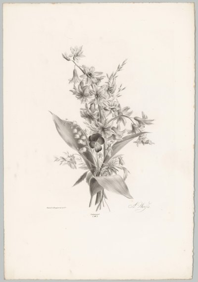 Violettia ja hyasintin ja kellon muotoisia kukkia Flower and Fruit Studies (...) 10. jakso (sarjan nimi) tekijältä Anton Weiss