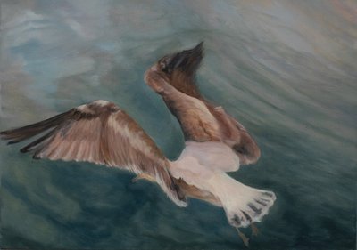 Lokki tulossa maahan, 2012 (öljy kankaalle) tekijältä Antonia Myatt
