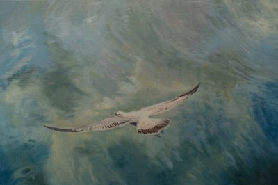 Lokin siivet ojennettuna, 2012 (öljy kankaalle) tekijältä Antonia Myatt