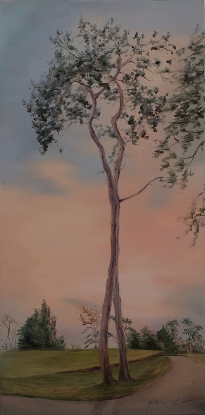 Tapeley Park puut, 2013 (öljy kankaalle) tekijältä Antonia Myatt