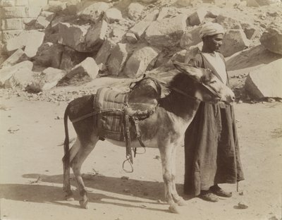 Bourier ja Bouriquer, Egypti tekijältä Antonio Beato
