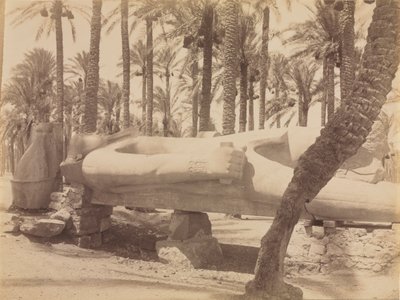 Ramses-patsas Saqqarassa, n. 1870-1880 luvut. tekijältä Antonio Beato