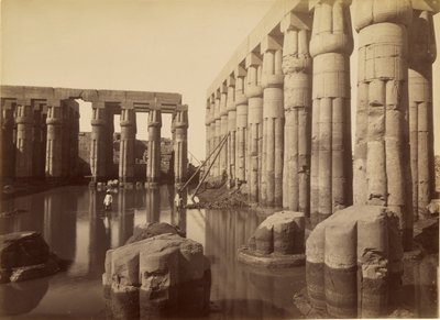 Amenhotep III:n tulviva piha Luxorin temppelissä tekijältä Antonio Beato