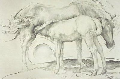 Horses at Coolmoressa, 1990 (hiili paperilla) tekijältä Antonio Ciccone