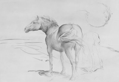 Horses at Coolmoressa, 1990 (hiili paperilla) tekijältä Antonio Ciccone