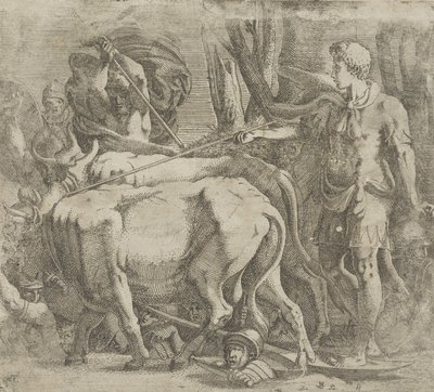Cadmus viljelee peltoa, jossa hän kylvi lohikäärmeen hampaat, 1540-45. tekijältä Antonio Fantuzzi